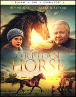 Orphan Horse [Includes Digital Copy] [Blu-ray/DVD] - Sean McNamara