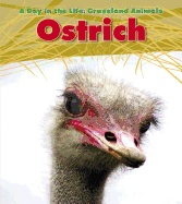 Ostrich