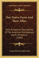 Our Native Ferns And Their Allies: With Synoptical Descriptions Of The American Pteridophyta North Of Mexico (1900)