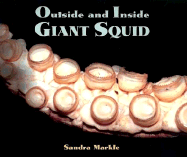 Outside and Inside Giant Squid