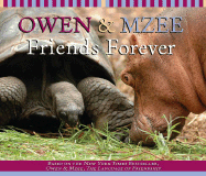 Owen & Mzee: A Day Together