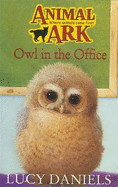 Owl in the Office