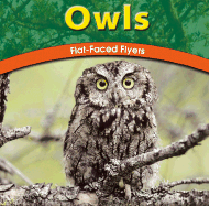 Owls: Flat-Faced Flyers