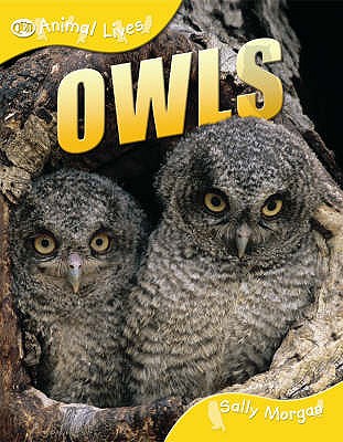 Owls - Morgan, Sally