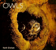 Owls - Graham, Keith, and Graham