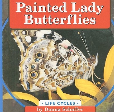 Painted Lady Butterflies - Schaffer, Donna
