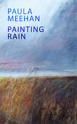 Painting Rain - Meehan, Paula