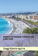 Panache in the Promenade: A Traveler's Guide to Nice, France