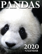 Pandas 2020 Calendar