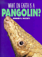 Pangolin