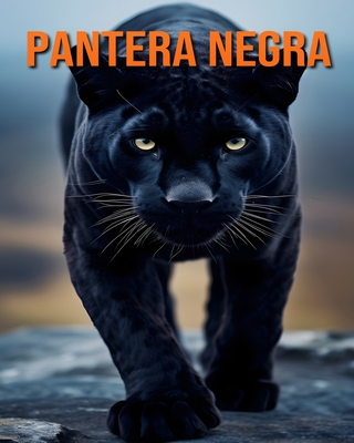 Pantera negra: Diversi?n, Datos e Imgenes Sobre Pantera negra - Ortega, Stefan