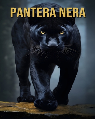 Pantera nera: Divertenti e Interessanti Curiosit? e Immagini sui Pantera nera - Orman, Victoria