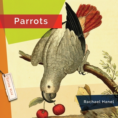 Parrots - Hanel, Rachael