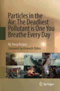 Particles in the Air: The Deadliest Pollutant Is One You Breathe Every Day