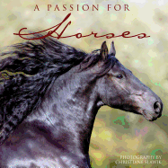 Passion for Horses