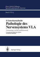 Pathologie Des Nervensystems VI.a: Traumatologie Von Hirn Und Ruckenmark Traumatische Schaden Des Gehirns