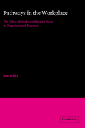 Pathways in the Workplace: The Effects of Gender and Race on Access to Organizational Resources