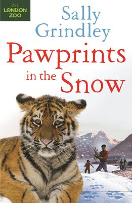 Paw Prints in the Snow - Grindley, Sally