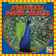 Peacocks / Pavos Reales