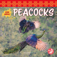 Peacocks