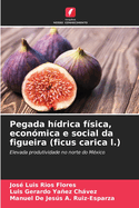 Pegada h?drica f?sica, econ?mica e social da figueira (ficus carica l.)