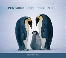 Penguins: Close Encounters