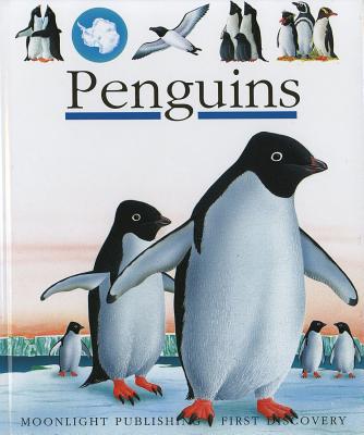 Penguins - 