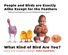 People And Birds Are Exactly Alike Except For The Feathers: What Kind of Bird Are You?