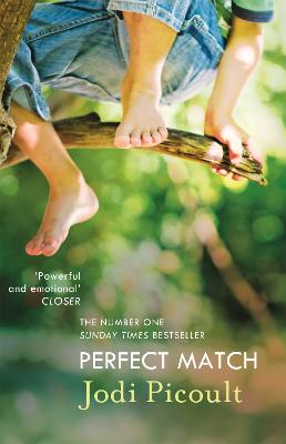 Perfect Match: the international bestseller about the strength of a mother's love - Picoult, Jodi