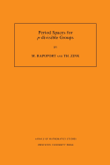 Period Spaces for P-Divisible Groups