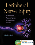 Peripheral Nerve Injury: An Anatomical and Physiological Approach for Physical Therapy Intervention