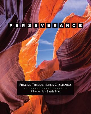 Perseverance: Praying through Life's Challenges - Snow, Donna