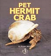 Pet Hermit Crab
