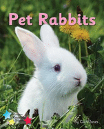 Pet Rabbits: Phonics Phase 3