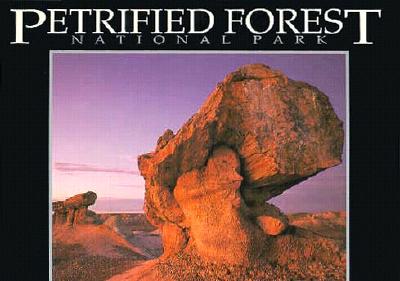 Petrified Forest National Park - Nicholas, Jeff (Editor)