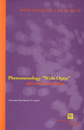 Phenomenology Wide Open: After the French Debate