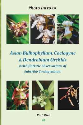 Photo Intro to: Asian Bulbophyllum, Coelogyne & Dendrobium Orchids (with floristic observations of Subtribe Coelogyninae) - Rice, Rod