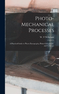 Photo-mechanical Processes: A Practical Guide to Photo-zincography, Photo-lithography, and Collotype