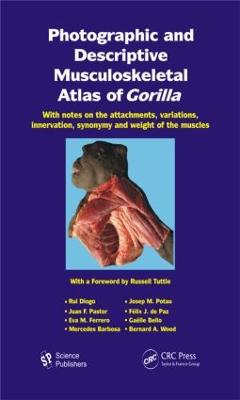 Photographic and Descriptive Musculoskeletal Atlas of Gorilla: With Notes on the Attachments, Variations, Innervation, Synonymy and Weight of the Muscles - Diogo, Rui (Editor), and Potau, Josep M (Editor), and Pastor, Juan F (Editor)