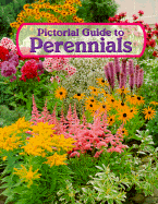 Pictorial Guide to Perennials - Helmer, Jane M, and Helmer, M Jane, and Hodge, Karla S