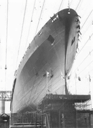 Picture History of the Andrea Doria - Miller, William Hughes