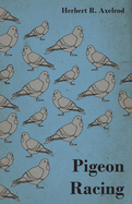 Pigeon Racing,