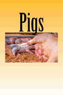 Pigs: Notebook / Journal