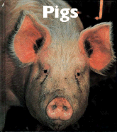 Pigs - Murray, Peter