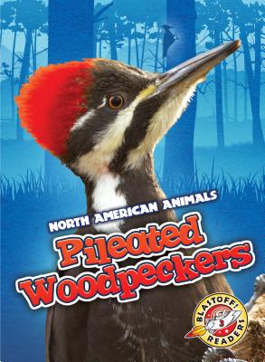 Pileated Woodpeckers - Sabelko, Rebecca