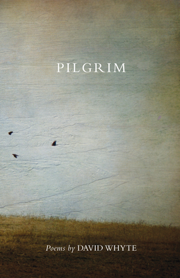 Pilgrim (Revised) (Revised) - Whyte, David