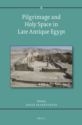 Pilgrimage and Holy Space in Late Antique Egypt - Frankfurter, David (Editor)