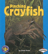 Pinching Crayfish - Piehl, Janet