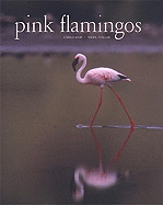 Pink Flamingos: Interviews with Jean-Louis Missika and Dominique Wolton = Le Spectateur Engage - Collar, Nigel J, and Mari, Carlo (Photographer)