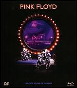 Pink Floyd: Delicate Sound of Thunder